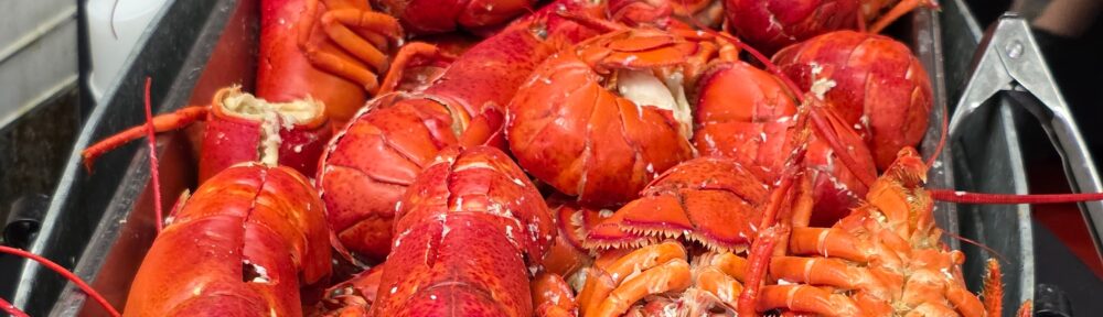 Cafe Sierra – all you can eat king crab legs and lobsters