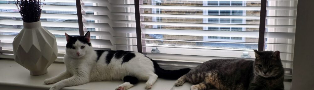These guys settled into London quickly